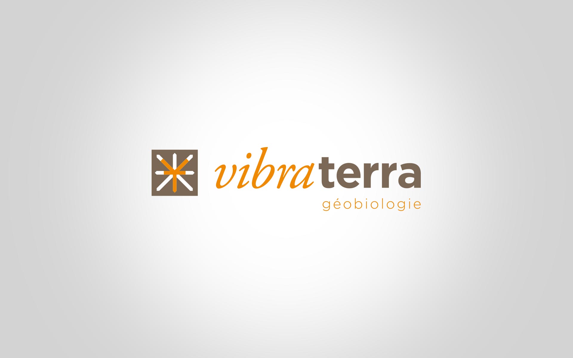 logo-vibra-terra.jpg