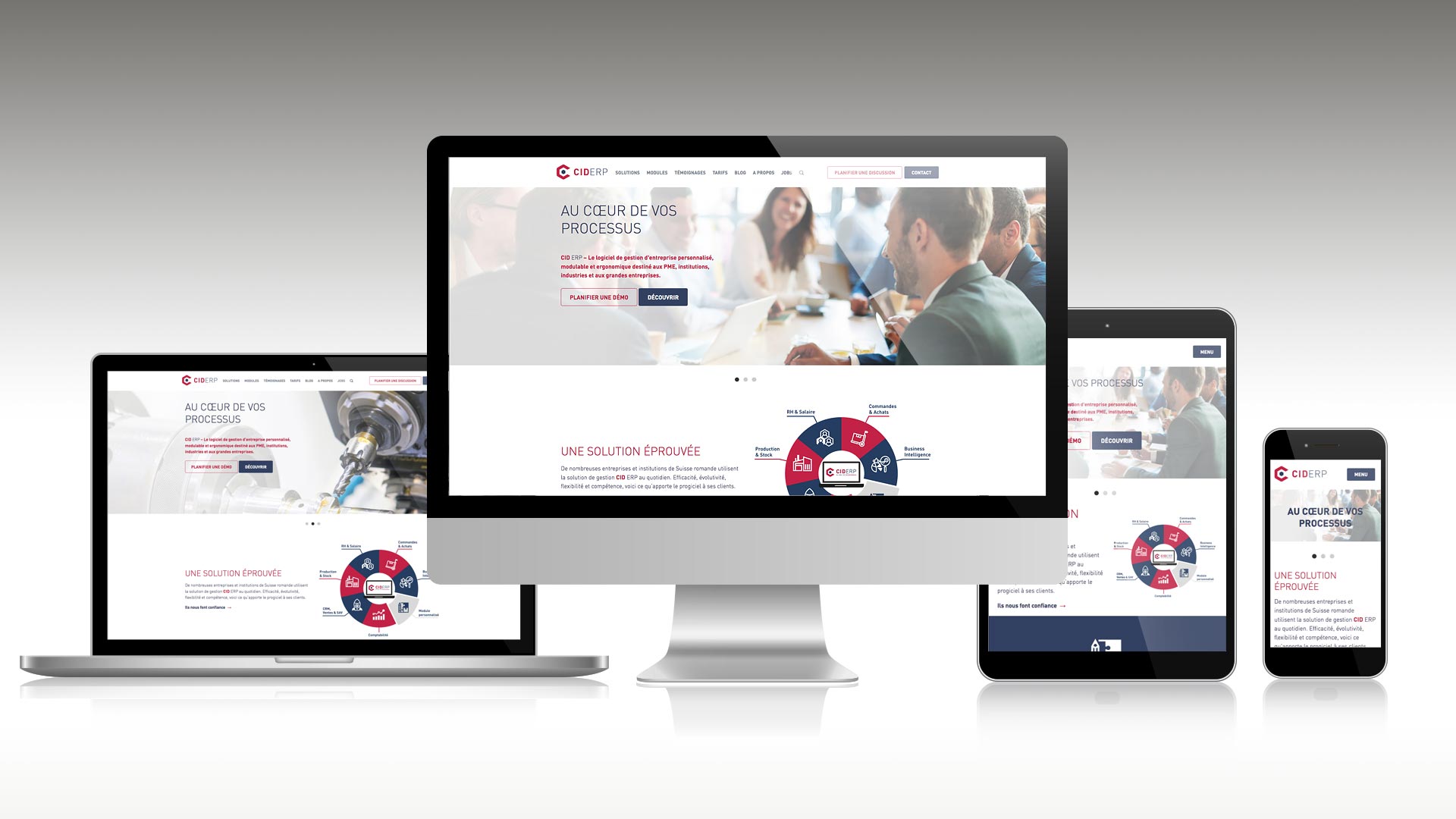 cid-erp-web.jpg